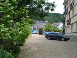 Дом Гостеев