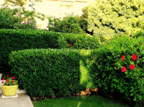 Tepe Hotel Alaçatı