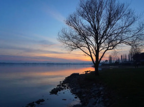 Broom apt With Shared Pool