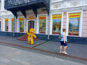 Апартаменты на улице Минина 25А