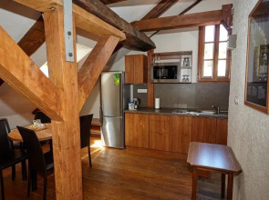 Residence Muzeum Vltavinu