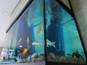 Residencial Lar do Areeiro