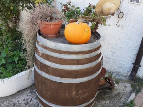 Pier delle Vigne B&B