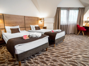 Rubin Wellness & Conference Hotel