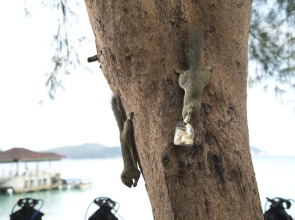 Perhentian Island Resort