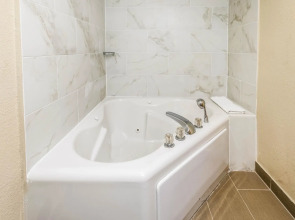 Comfort Inn Detroit Downtown