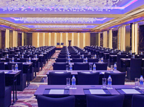 Radisson Blu Plaza Delhi Airport