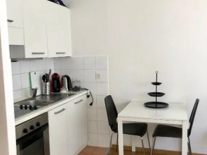 The Paquis Oasis in Central Geneva