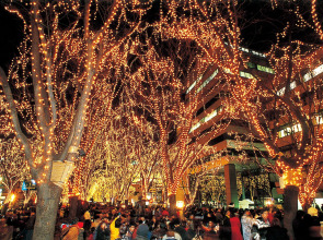 Hotel Premium Green Hills