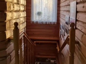 Березка Север