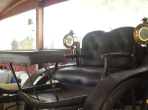 Villa Daffodil - Special Class