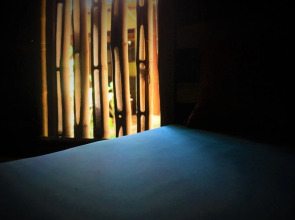 Under the coconut tree - Hostel