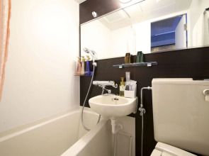 Hotel Wing International Select Asakusa Komagata