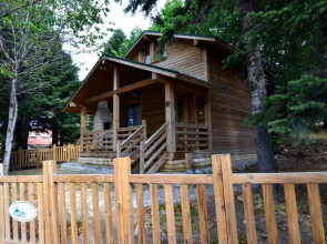 Uludag Orman Koskleri