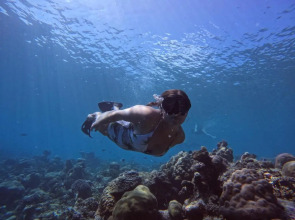 Blue Water Thoddoo Inn