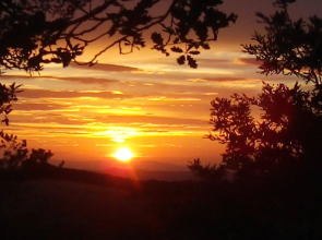 Agriturismo Il Colombaiolo