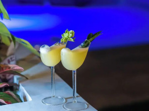 Bird of Paradise Bohol Resort