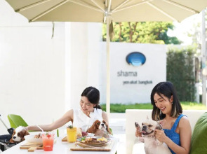 Shama Yen-Akat Bangkok