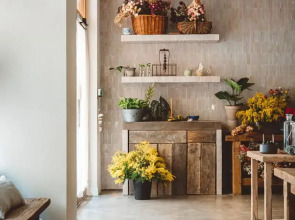 Hoy Paris - Home of YOGA