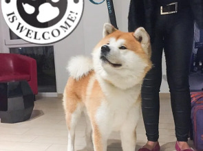 Hotel RossoVino Como