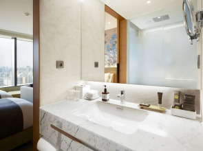 Novotel Suites Ambassador Seoul Yongsan - Seoul Dragon City