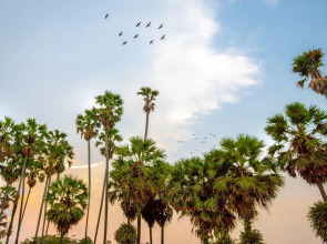 Courtyard by Marriott Siem Reap Resort