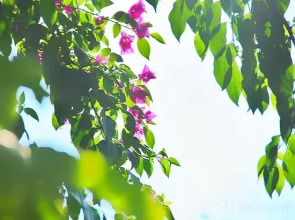 Yihai blue sky apartment (Lingshui Coral Sea store)