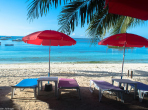 Alona Vida Beach Resort