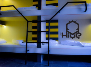 The Hive Party Hostel
