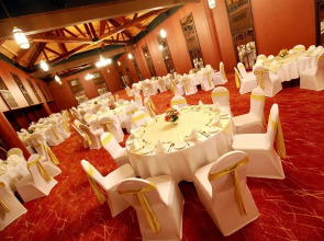 Hikka Tranz by Cinnamon