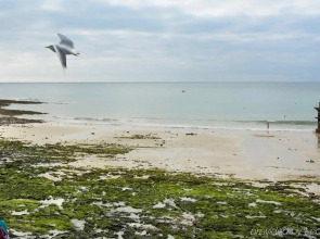 Mercure Granville Le Grand Large