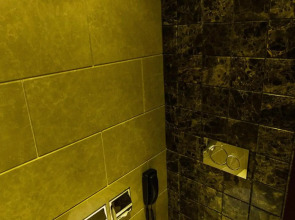 Prince Albert Lyon Bercy