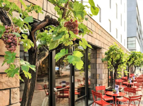 Ibis Rotterdam City Centre