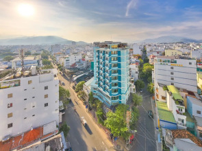 Daisy Flower Nha Trang