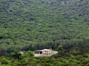 Отель Yeghevnut