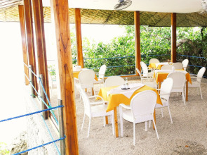 Quo Vadis Dive Resort Moalboal