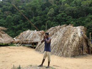 Mutiara Taman Negara