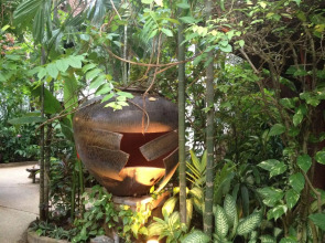 White House Beach Resort And Spa