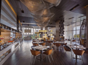 Holiday Inn New Delhi Aerocity by IHG