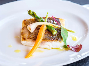 Barceló Portinatx - Adults Only