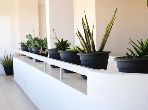 Sun Hall Beach Hotel Apts.