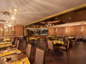 Radisson Blu Plaza Delhi Airport