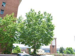 Affittacamere A Casa Mia