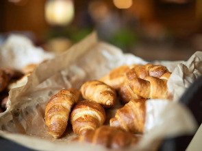 Home Hotel Hammer – Dinner included