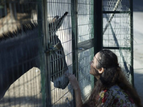 Esperos Village Blue & Spa - Adults only