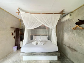 Sunshine on the rock