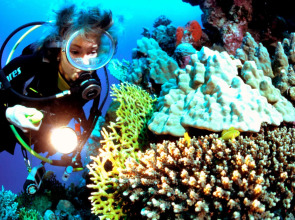 Mövenpick Resort & Spa Jimbaran Bali