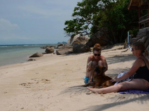 Blue Hill Beach Resort