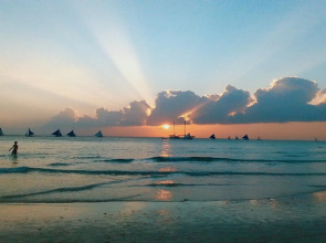 The Lazy Dog Bed & Breakfast