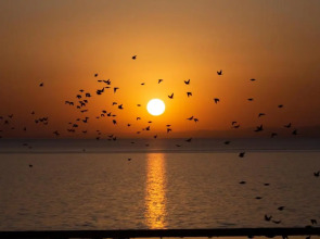 DoubleTree by Hilton Hotel Van